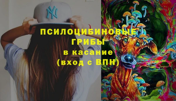 крисы Бугульма